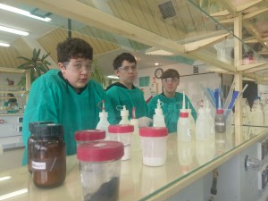 Warsztaty 8b Wydział Chemii (11)