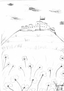 5b - Karol Wilk - Pawłowski  (2)             