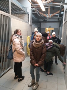 Wizyta w Schronisku 2019 (2)