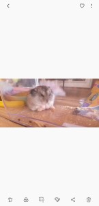 Screenshot 20200609-155124 Gallery