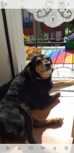 Screenshot 20200609-155622 Gallery