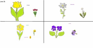 3b - Wiosenne kwiaty (4) 